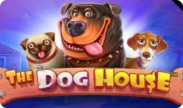 Slota Casino – The Dog House
